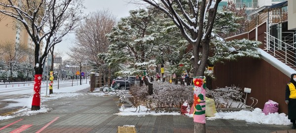 오산시 중앙도서관의 키움봉사회가 지난 6일 ‘나무뜨개옷 입히기’ 행사를 진행했다.<사진출처=오산시>