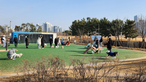 송도 달빛공원을 찾은 주민들이 애완견과 함께 산책을 즐기고 있다. <사진=경인방송 DB>