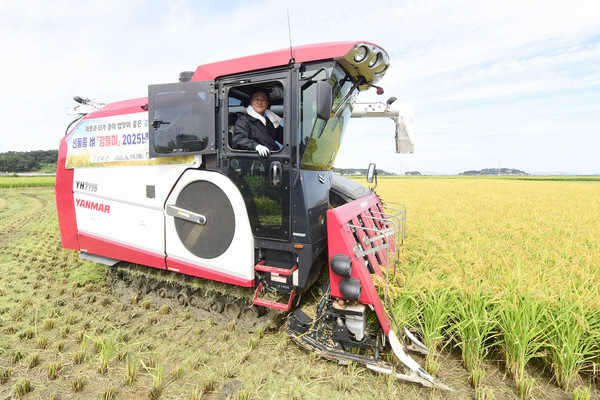 Ganghwa-gun Holds Harvest Event for Excellent Rice 'Gangdeulmi'