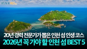 저어새, 동백나무, 풀등, 칠면초 단풍...전문가가 뽑은 인천 섬 인생코... - 뉴스 썸네일 이미지